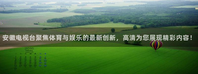 安徽电视台聚焦体育与娱乐的最新创新，高清为您展现精彩内容！