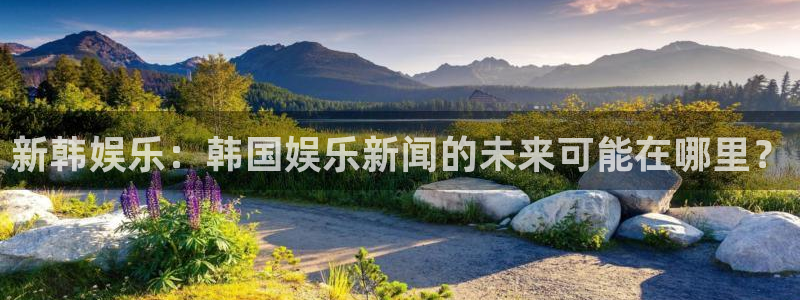 新韩娱乐：韩国娱乐新闻的未来可能在哪里？