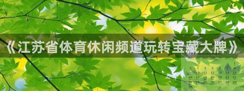 《江苏省体育休闲频道玩转宝藏大牌》