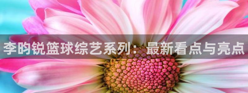 李昀锐篮球综艺系列：最新看点与亮点