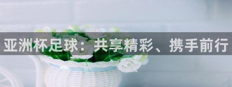 亚洲杯足球：共享精彩、携手前行