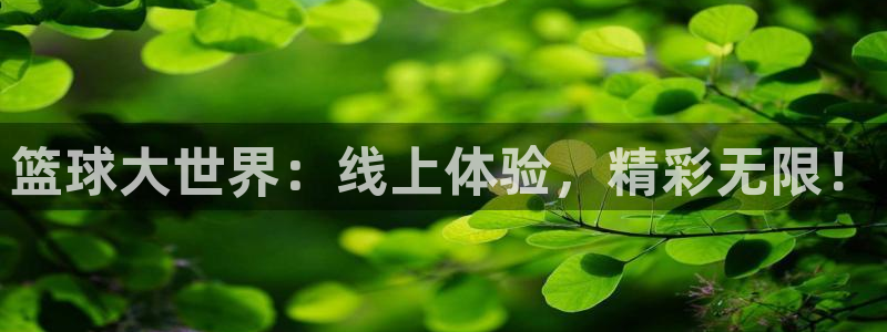 篮球大世界：线上体验，精彩无限！