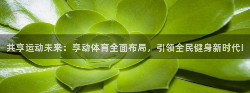 共享运动未来：享动体育全面布局，引领全民健身新时代!