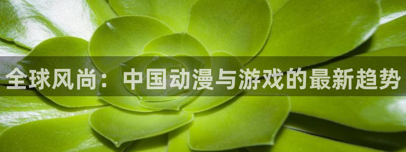 全球风尚：中国动漫与游戏的最新趋势