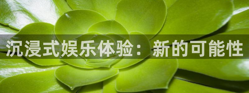 沉浸式娱乐体验：新的可能性
