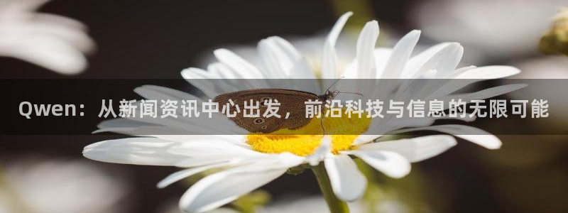 Qwen：从新闻资讯中心出发，前沿科技与信息的无限可能