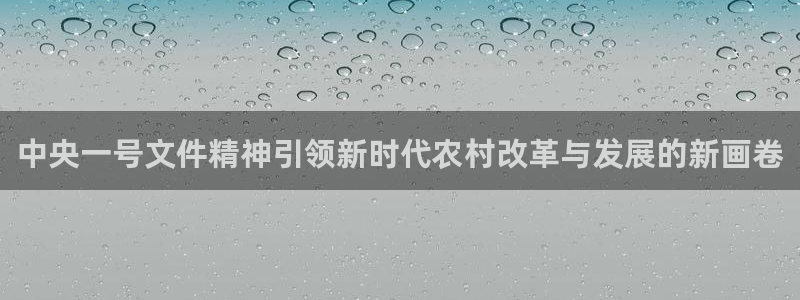 中央一号文件精神引领新时代农村改革与发展的新画卷