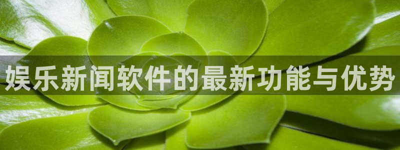 娱乐新闻软件的最新功能与优势