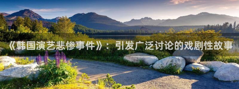 《韩国演艺悲惨事件》：引发广泛讨论的戏剧性故事
