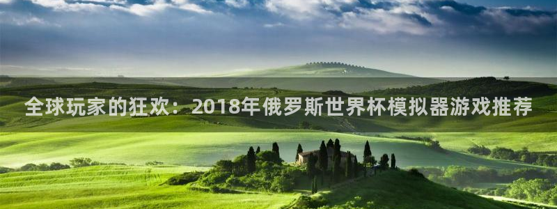 全球玩家的狂欢：2018年俄罗斯世界杯模拟器游戏推荐