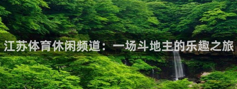 江苏体育休闲频道：一场斗地主的乐趣之旅