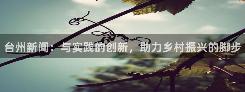 台州新闻：与实践的创新，助力乡村振兴的脚步