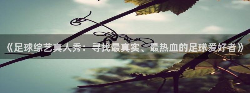 《足球综艺真人秀：寻找最真实、最热血的足球爱好者》