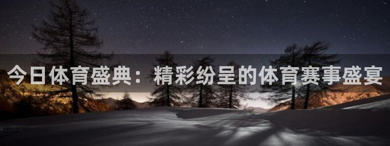 今日体育盛典：精彩纷呈的体育赛事盛宴