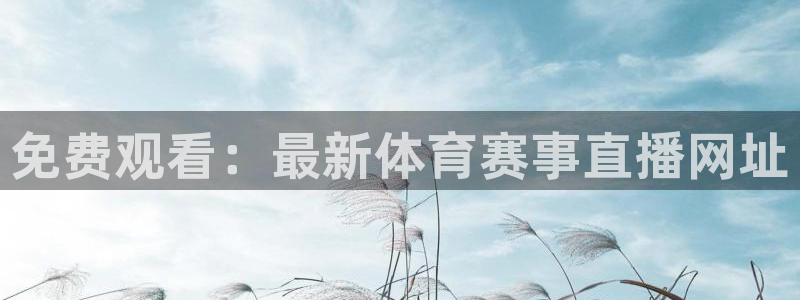 免费观看：最新体育赛事直播网址