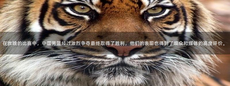 在昨晚的比赛中，中国男篮经过激烈争夺最终取得了胜利，他们的表现也得到了观众和媒体的高度评价。