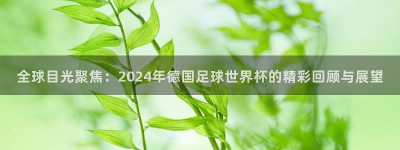全球目光聚焦：2024年德国足球世界杯的精彩回顾与展望