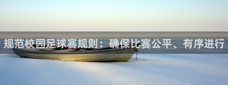 规范校园足球赛规则：确保比赛公平、有序进行