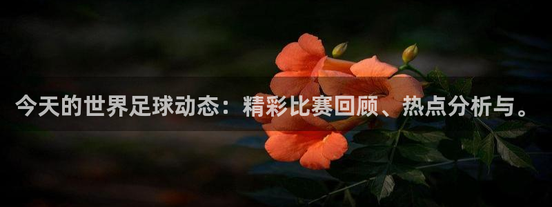 今天的世界足球动态：精彩比赛回顾、热点分析与。
