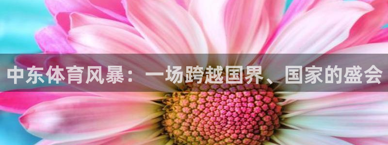 中东体育风暴：一场跨越国界、国家的盛会