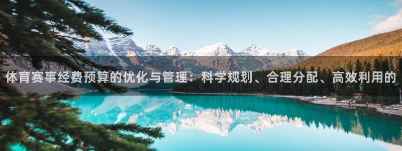 体育赛事经费预算的优化与管理：科学规划、合理分配、高效利用的
