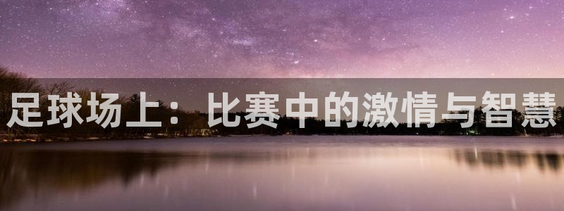足球场上：比赛中的激情与智慧