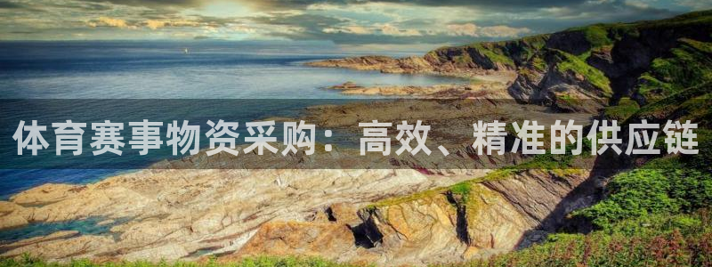 体育赛事物资采购：高效、精准的供应链