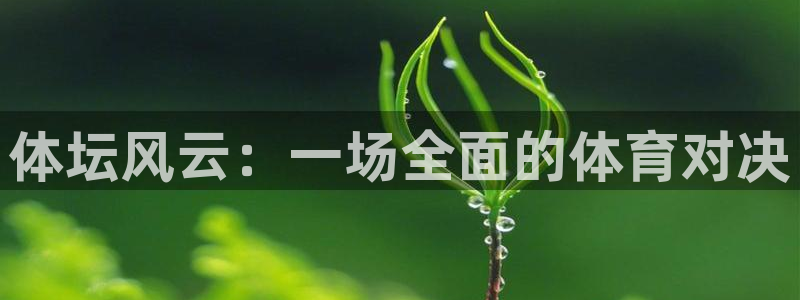 体坛风云：一场全面的体育对决