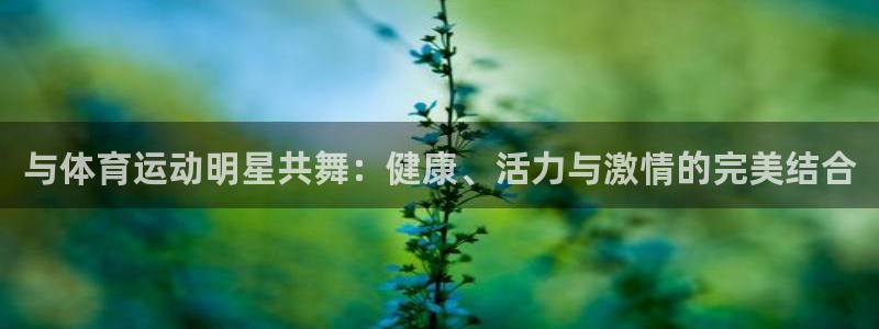 与体育运动明星共舞：健康、活力与激情的完美结合