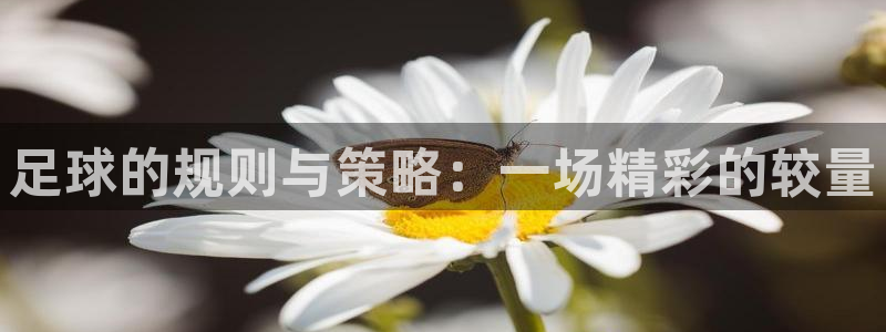 足球的规则与策略：一场精彩的较量