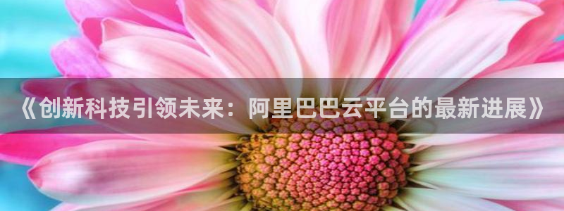 《创新科技引领未来：阿里巴巴云平台的最新进展》