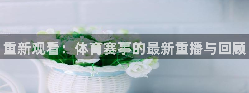 重新观看：体育赛事的最新重播与回顾