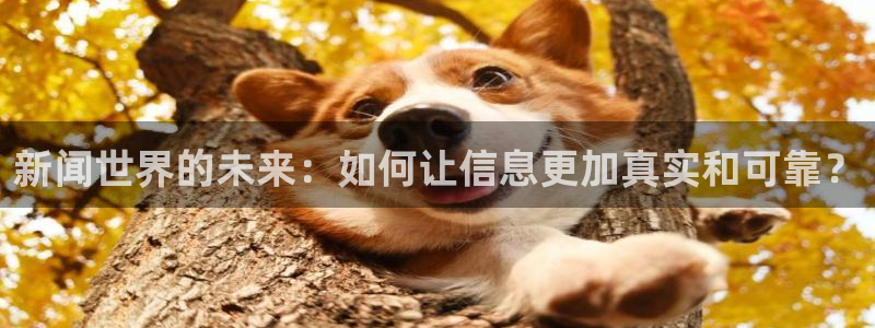 新闻世界的未来：如何让信息更加真实和可靠？