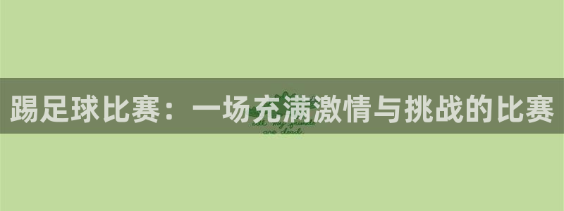 踢足球比赛：一场充满激情与挑战的比赛