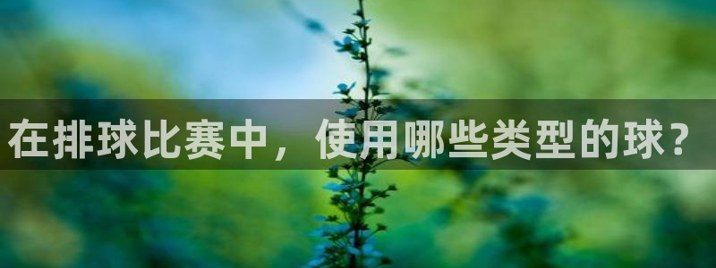 在排球比赛中，使用哪些类型的球？