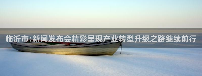 临沂市:新闻发布会精彩呈现产业转型升级之路继续前行