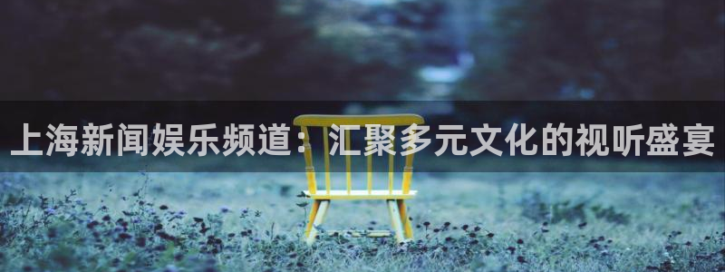 上海新闻娱乐频道：汇聚多元文化的视听盛宴