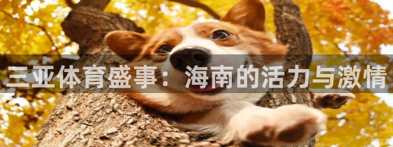 三亚体育盛事：海南的活力与激情