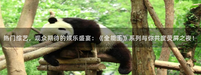 热门综艺，观众期待的娱乐盛宴：《全能王》系列与你共度荧屏之夜！
