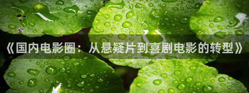 《国内电影圈：从悬疑片到喜剧电影的转型》