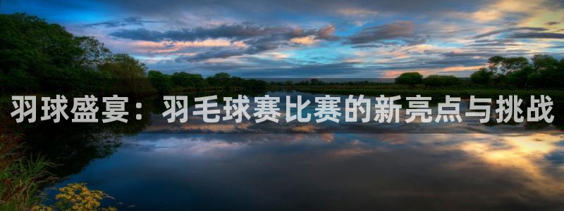 羽球盛宴：羽毛球赛比赛的新亮点与挑战