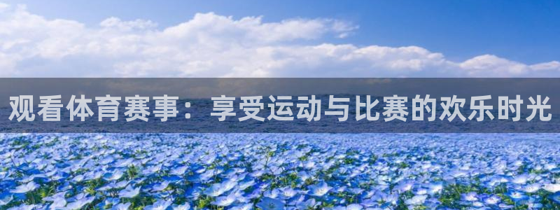 观看体育赛事：享受运动与比赛的欢乐时光