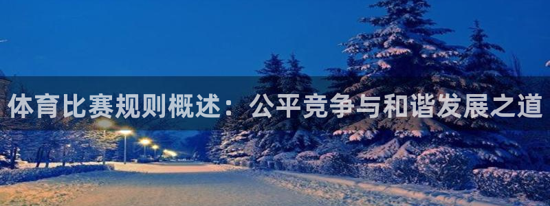 体育比赛规则概述：公平竞争与和谐发展之道