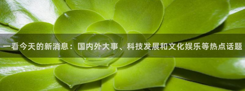 一看今天的新消息：国内外大事、科技发展和文化娱乐等热点话题