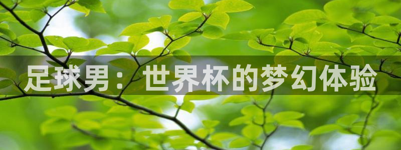 足球男：世界杯的梦幻体验