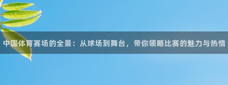 中国体育赛场的全景：从球场到舞台，带你领略比赛的魅力与热情