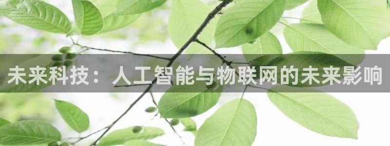 未来科技：人工智能与物联网的未来影响
