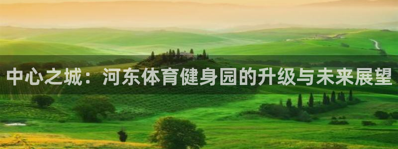 中心之城：河东体育健身园的升级与未来展望