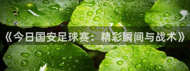 《今日国安足球赛：精彩瞬间与战术》